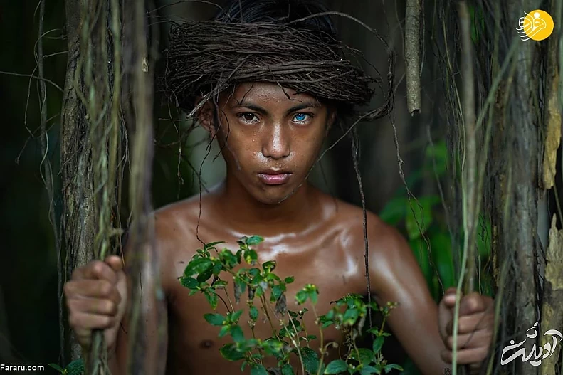 (تصاویر) (تصاویر)